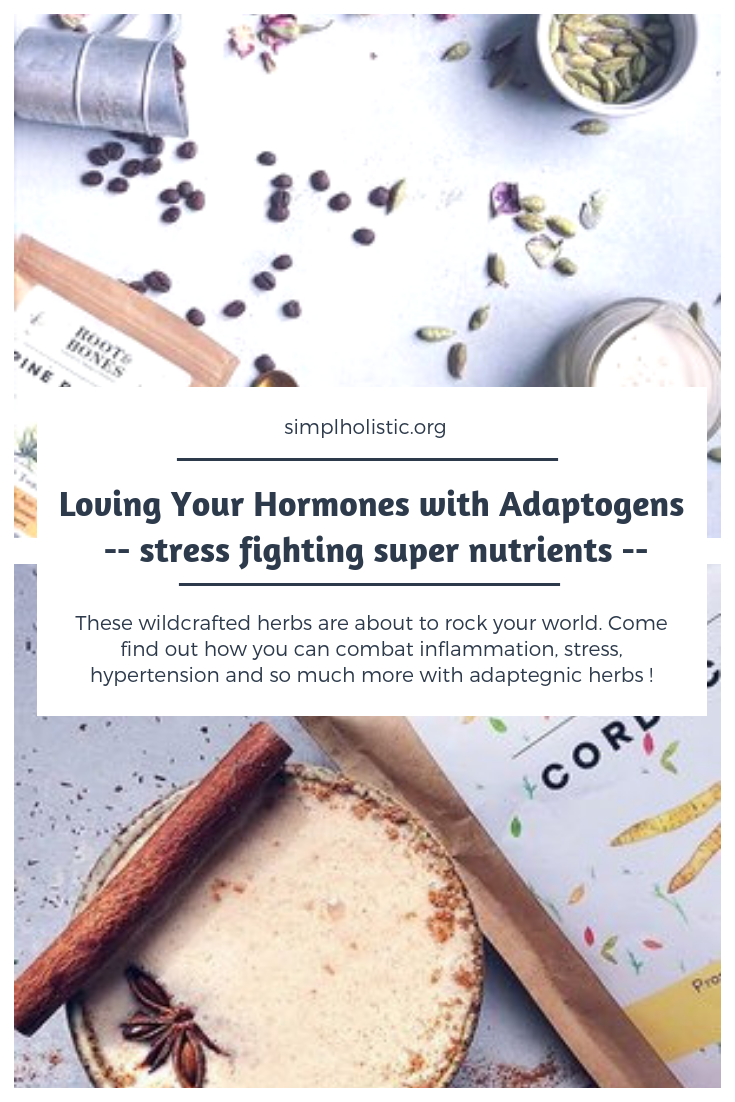 Adaptogens: Loving Your Hormones | Beat Stress & Be Well