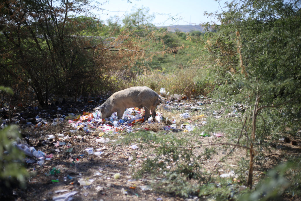 Haiti & it's plastic problem. What can we do?