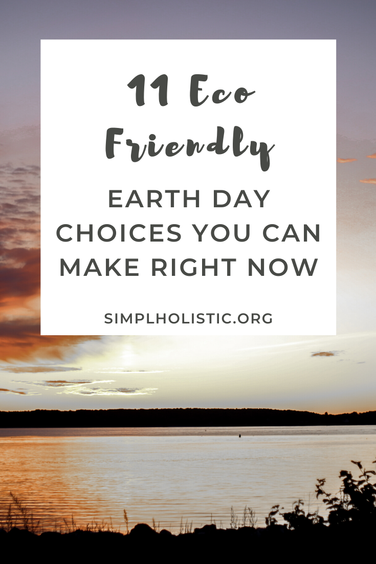 11 Earth Day Eco Friendly Choices You Can Make for Cheap
